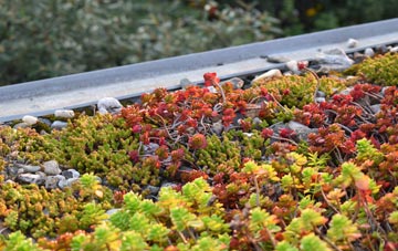 the cost of Northmoor green roof installation