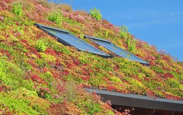 Northmoor living roof systems